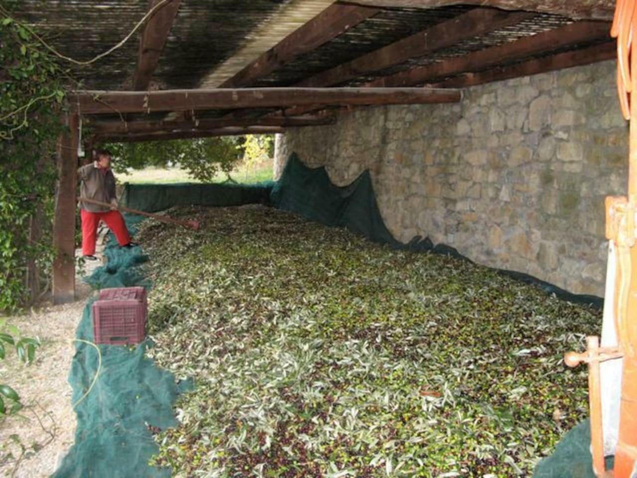 Appartamento Lauro Castellina in Chianti Esterno foto